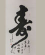 趙忠祥作品集